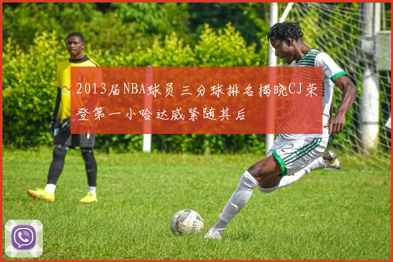 2013届NBA球员三分球排名揭晓CJ荣登第一小哈达威紧随其后