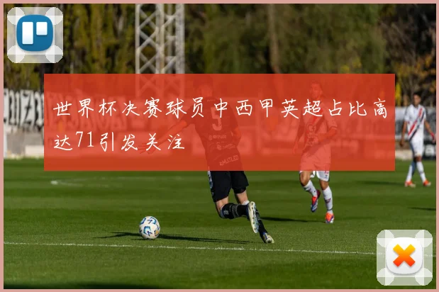 世界杯决赛球员中西甲英超占比高达71引发关注